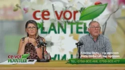 Absolute chaos, the fear of tomato growers 28 09 2026