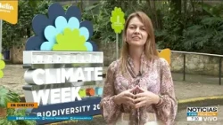 Medellín recibe reconocimiento nacional de WWF por su acción climática