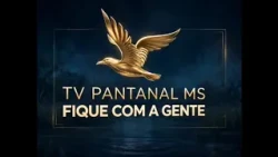 VINHETA 08 ANO 2026