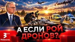 Russian "Gerbera" drone over Lithuania: what was found in the downed UAV