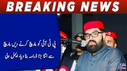 Let PTI march, they made such a big drama out of the march, Aimal Wali