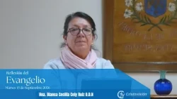 Gospel Reflection | September 15