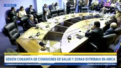 Comisión de Salud y Zonas Extremas, conjunta. - 02 de octubre de 2026