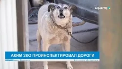АКИМ ЗКО ПРОИНСПЕКТИРОВАЛ ДОРОГИ