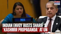 INDIA VS PAKISTAN AT UNGA: New Delhi's Befitting Reply To Shehbaz Sharif's Old Kashmir Rant