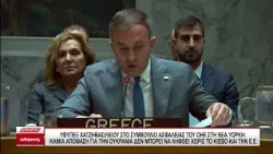 Χατζηβασιλείου: Καμία απόφαση για την Ουκρανία δεν μπορεί να ληφθεί χωρίς το Κίεβο και την Ε.Ε.