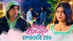 Sihineka Thaniwela (සිහිනෙක තනිවෙලා) | Episode 250 - (2026-09-17) | ITN