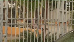 "Mayimbú" killed in an armed attack south of Guayaquil