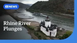 Trade and livelihoods under threat as Rhine River water level plunges | ABC NEWS
