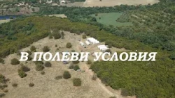 В полеви условия