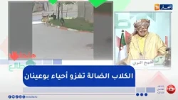 Upward trend: The 3500-unit housing complex in Bouinan, Blida, is besieged by stray dogs... and r...