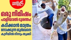 വാവ സുരേഷിന്റെ കൈയ്യിൽ കെട്ടിട്ട പാമ്പ് | Cobra Snake Rescue By Vava Suresh | Snakemaster EP 1226