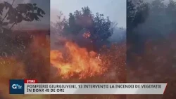 POMPIERII GIURGIUVENI, 13 INTERVENȚII LA INCENDII DE VEGETAȚIE ÎN DOAR 48 DE ORE