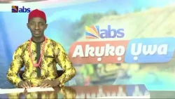 Govano Soludo, Udeze Na Ndi Ozo Ekwuola Mkpa Odi Igu Akwukwo 'Beyond Sycopancy'
