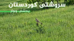 سروشتی کوردستان - بەشی (4)