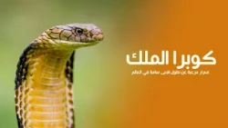 King Cobra: Terrifying Secrets of the World's Longest Venomous Snake | Quest Arabiya