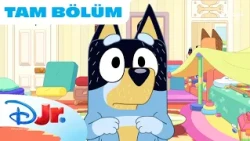 Odacık | Bluey | @DisneyPlusTR