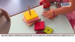 CONSORTIUM SOCIAL NURSERY SERVICES DI CANDIA FLORIO