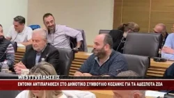 ΔΗΜΟΤΙΚΟ ΣΥΜΒΟΥΛΙΟ ΚΟΖΑΝΗΣ - ΑΝΤΙΠΑΡΑΘΕΣΗ ΓΙΑ ΤΑ ΑΔΕΣΠΟΤΑ ΖΩΑ