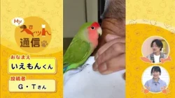 [Episode 121] Introducing our viewers' adorable pets! "My Pet News"