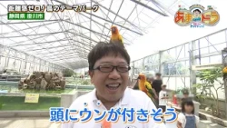 【100種類600羽以上！】鳥とふれあえるテーマパーク 掛川花鳥園（静岡県掛川市）【あまドラ～天野っちのドライブしよう！！～】