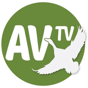 Av Tv
