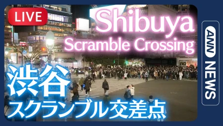 Shibuya Scramble Crossing Live Tokyo