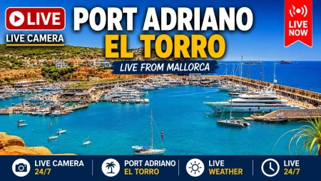 Port Adriano Marina Live in Mallorca