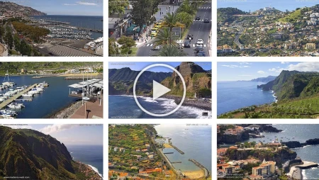 Madeira Island Multi-Cam