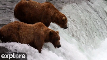 Brooks Falls - Katmai National Park - Alaska