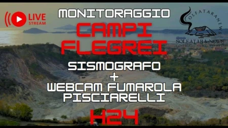 Campi Flegrei Pisciarelli Live and Seismograph