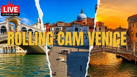 Venice Live : Canals and Landmarks