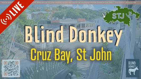 Cruz Bay - St. John - Blind Donkey