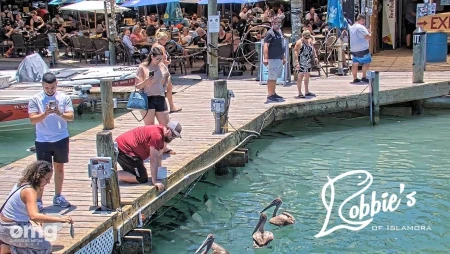Tarpon Feeding Dock at Robbie's Marina in Islamorada
